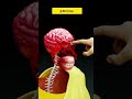 Science Behind Tilak & Chandan 🔱 | 3D Animation | By Mr RK Top