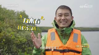 《我的美丽乡村》 20230420 红树林里牧蚝人|农业致富经 Agriculture And Farming