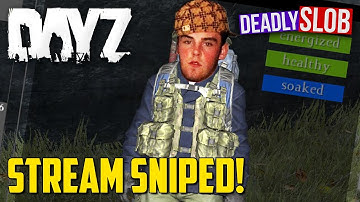 Stream Sniped - DayZ Standalone #29