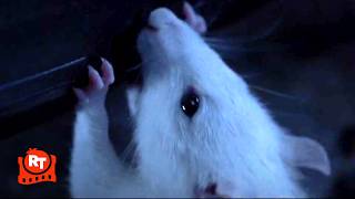 Willard (2003) - Willard's Rats Chew Up His Boss' Car (3/9) | Movieclips
