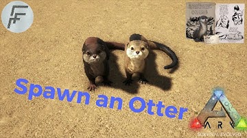 ARK: Survival Evolved How to spawn an Otter