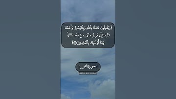سورة النور الآية ٤٦ الى ٤٩ بصوت الشيخ محمد صديق المنشاوي
