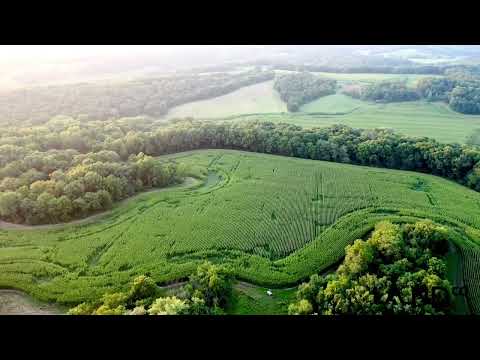 158 Acres for Sale in Fulton County Illinois | LandCo