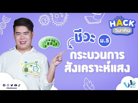 วีดีโอ: แบบทดสอบการสังเคราะห์แสงในวิชาชีววิทยาคืออะไร?