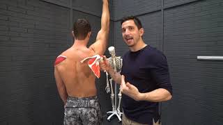 Fix Your Shoulder Impingement Forever! -MoveU