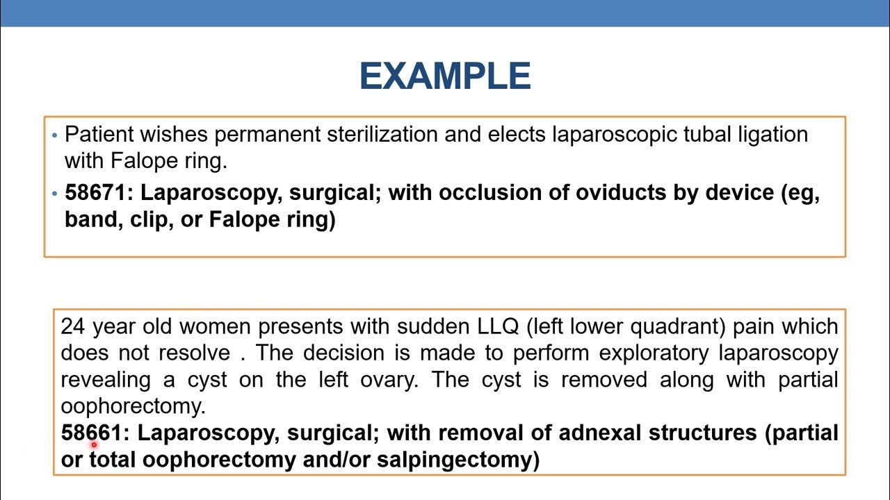 2023 cpt coding for ovary oviduct surgery female reproductive system