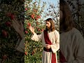 Matthew 7:17-19 (KJV)  #youtubevideo #motivation