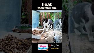 1hour Calming Guitar Version  10403  longform sleep studyguitarrelaxing