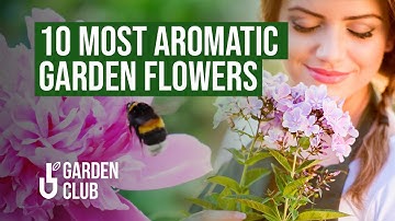 The Secret to an ULTRA-Fragrant Garden 🌸 10 Most Aromatic Garden Flowers