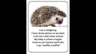🦔 "I Am a Hedgehog!" | Adorable & Fun Animal Learning for Kids! 🍁🌟