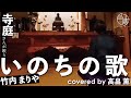【寺歌】お寺の奥さんがお寺で歌う竹内まりやの「いのちの歌」(Covered by 高畠薫)