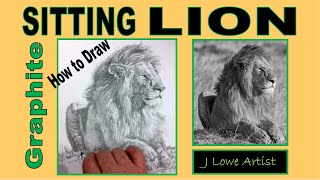 HOW TO DRAW A SITTING LION Easy HOW TO DRAW A SITTING LION Easy