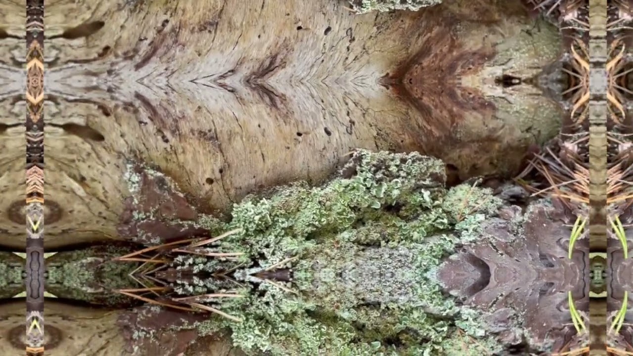 Παρακολούθηση Electric Eye - Hvit Lotus (Visualiser) στο YouTube Παρακολούθηση Electric Eye - Hvit Lotus (Visualiser) στο YouTube