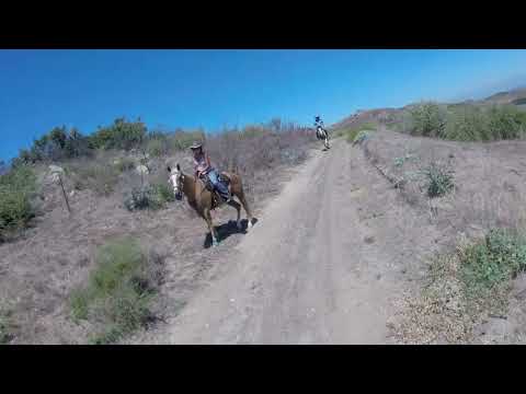 Limestone Canyon and Loma Ridge Loop2