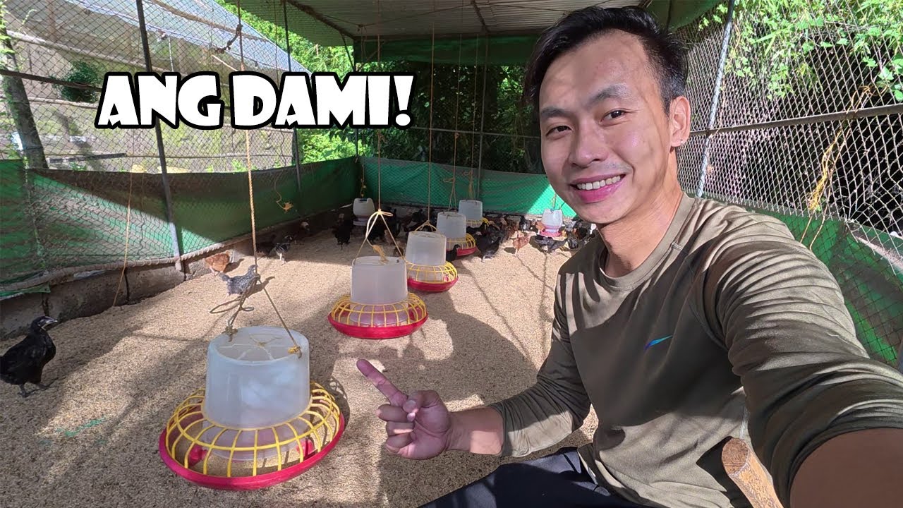 9 na Uri ng Feeds ang Gamit Ko sa Farm