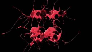 Pink Coffee - Another Brick In The Wall 2012 (Original Mix)