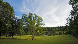 Soothing Flute Music.pure positive vibes.Healing Meditation Music.birds sounds.