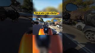 This Is Why I Ride A Harley 🔥 #shorts