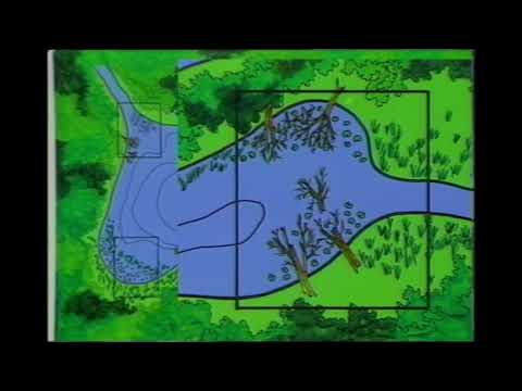 Best Spots to fish on ANY LAKE!