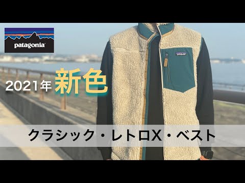 2021年新色】パタゴニアのレトロXベストの新色Pelicanを購入。サイズや