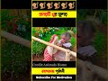 বানরটি খুব সুন্দর #shorts #monkey #cartoon #bhuter_cartoon #videos