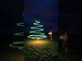 This year, gift your love a Christmas tree that never fades | Mini 5 Pro