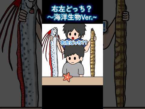 右左どっち？〜海洋生物Ver〜【アニメ】