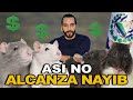 As no alcanza nayib  csar fuentes  el salvador