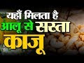 काजू की खेती | काजू  | Cashew | Cashew Farming In Hindi | काजू की उन्नत खेती कैसे करे