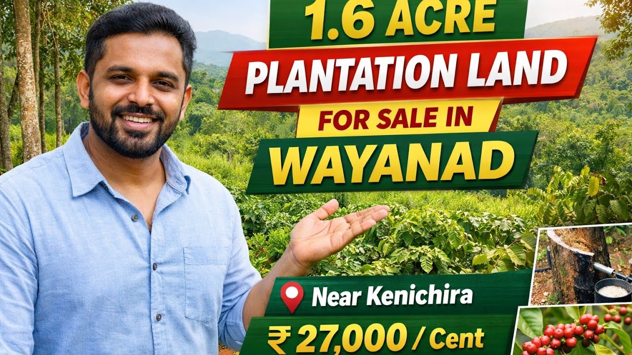 Земельный участок площадью 1,6 акра под строительство виллы/гостевого дома в Ваянаде | Рядом с Су...