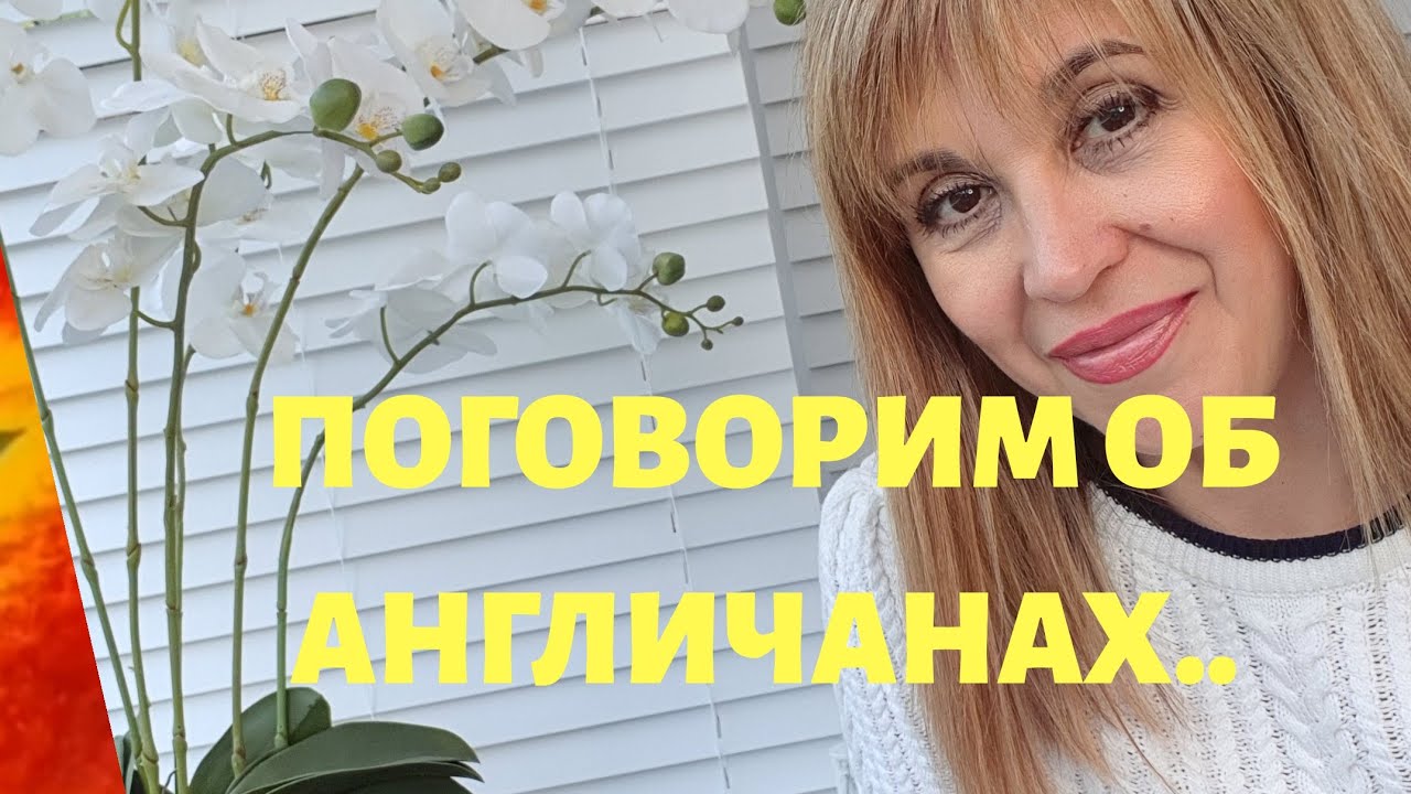 Учите английский язык в Монреале