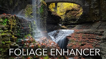 Luminar Foliage Enhancer Tutorial