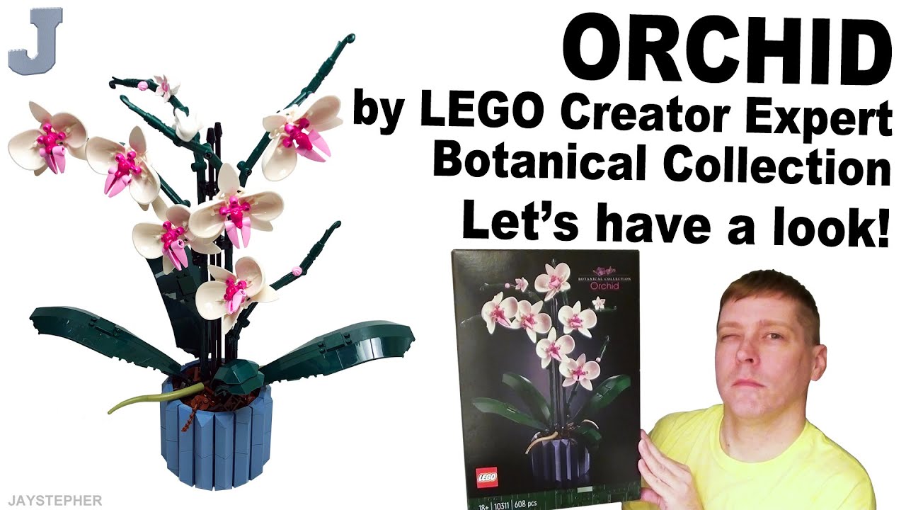 Review LEGO Botanical Collection 10311 Orchid - HelloBricks