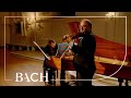 Bach - Sonata for violin and harpsichord no. 1 in B minor BWV 1014 | Netherlands Bach Society