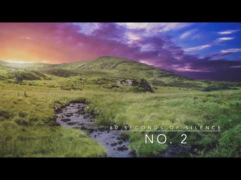 60 Seconds of Silence | No 2