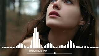 تمبورا دليمن ❤️اجمل اغنية كردية ❤️Tembura Dile Min🤍🌼