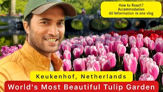Visiting the world's most Beautiful Tulip  Garden | Keukenhof, Netherlands by Singh RoadWayS 269 views 1 year ago 10 minutes, 57 seconds
