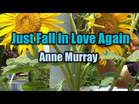 Just Fall In Love Again (Lyrics) - Anne Murray