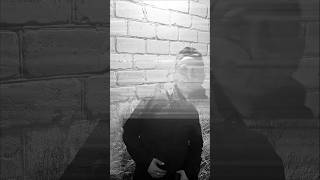RK Vostok  - Сюжеты #rap#rkvostok #музыка#newmusic