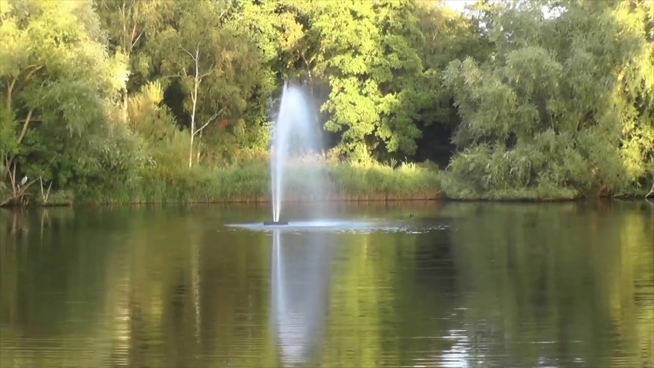 Water fountain and stream sounds YouTube