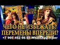 ЧЕГО ВАМ ТОЧНО НЕ ИЗБЕЖАТЬ? КАКИЕ ВАЖНЫЕ ПЕРЕМЕНЫ ВПЕРЕДИ?/онлайн гадание на картах таро