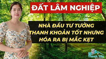 ĐẤT LÂM NGHIỆP: Nhà Đầu Tư Tưởng Thanh Khoản Tốt Nhưng Hóa Ra Bị Mắc Kẹt I VŨ THANH VÂN OFFICIAL
