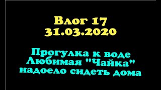 Sergetv / Влог 17 / Прогулка К Воде / Любимая Чайка / Надоело Сидеть Дома