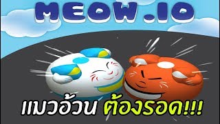 Meow.io แมวไทยไม่แพ้ชาติใดในโลก  การต่อสู้ของแมว  [เกมส์มือถือ] screenshot 1