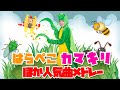 【20分連続】「はらぺこカマキリ」おとなver.ほか人気曲メドレー♫【ダンス 振り付き】〜Covered by うたスタ〜