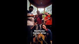 Bashful by Harper Wren Details