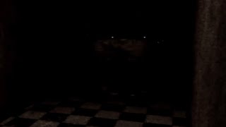 bear.mp4