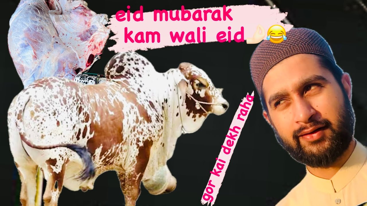 Eid mubarak sab kou 🤌🏻💕| free free today 😂😂no work 