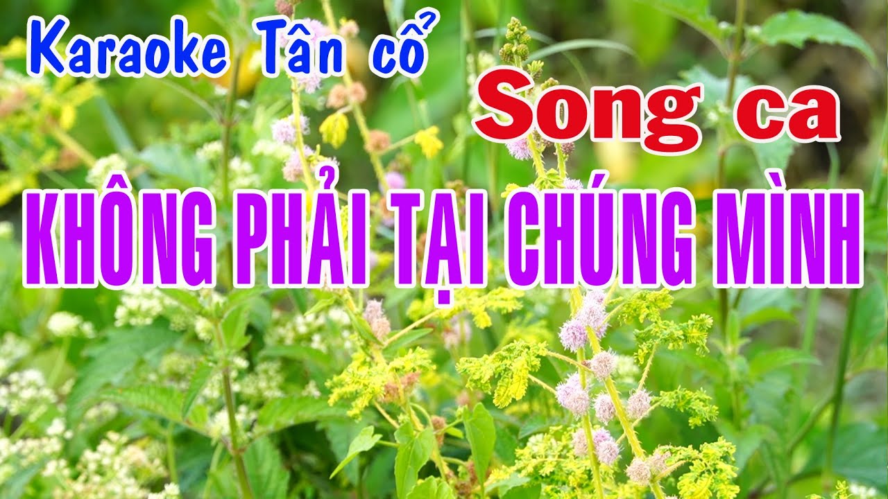 Karaoke tân cổ KHÔNG PHẢI TẠI CHÚNG MÌNH 2 - SONG CA [Nhạc: Ngọc Vân - Lời vc: Nancy Pham]