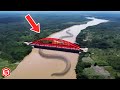Alasan Kenapa Tidak Ada Satupun Jembatan di Sungai AMAZON, Menyeramkan